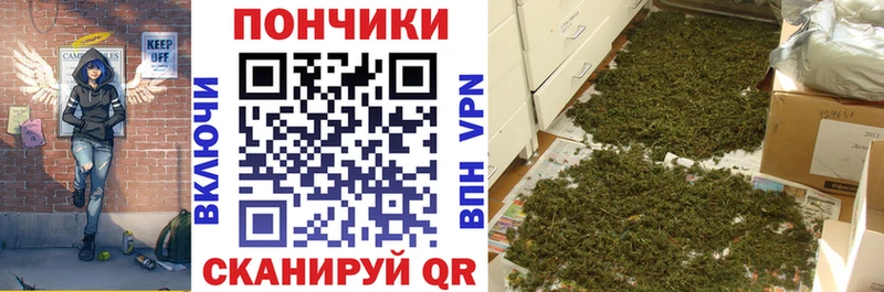 сколько стоит  Себеж  Бошки Шишки индика 